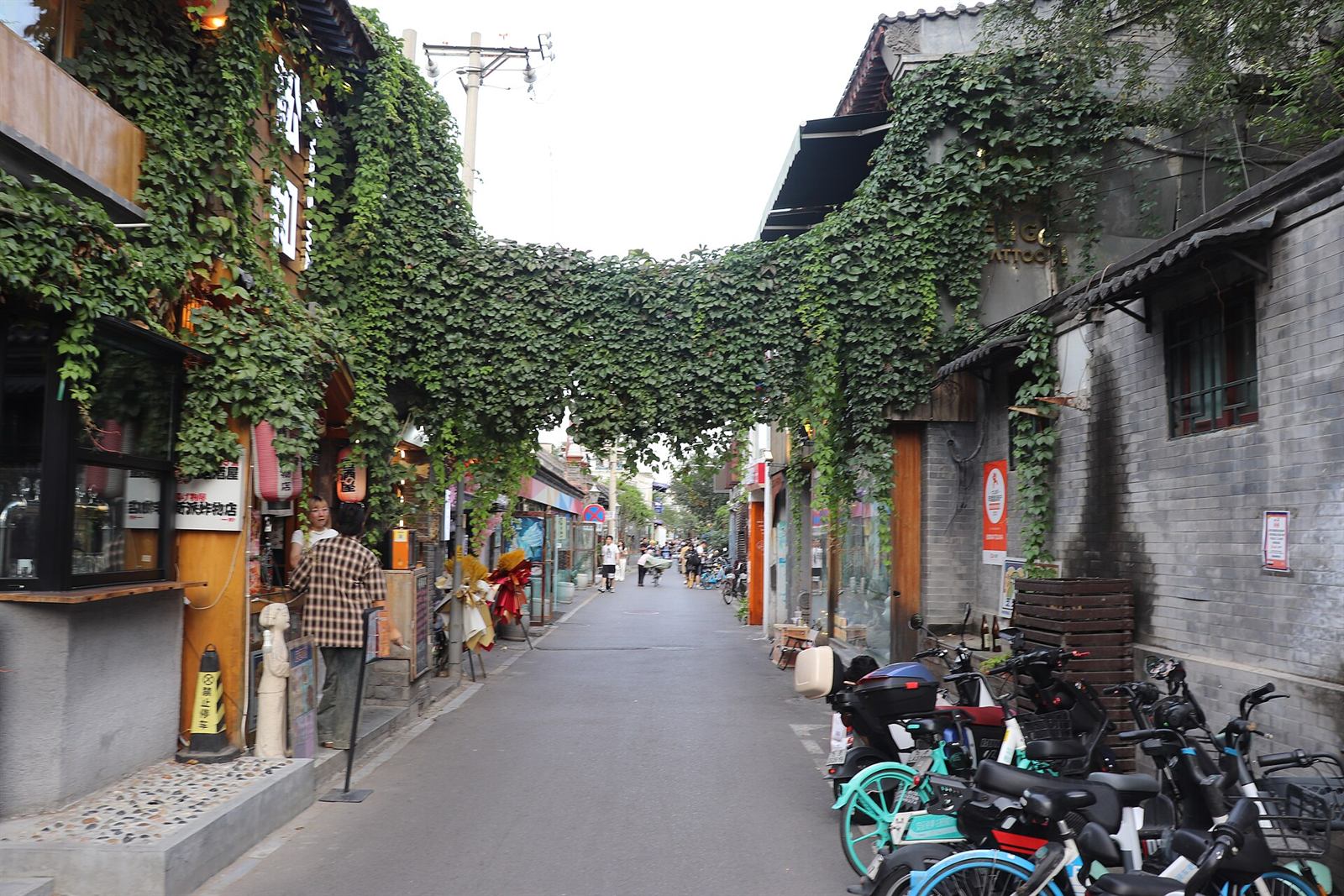 Wudaoying Hutong in Beijing, a lane of small shops under hanging vines